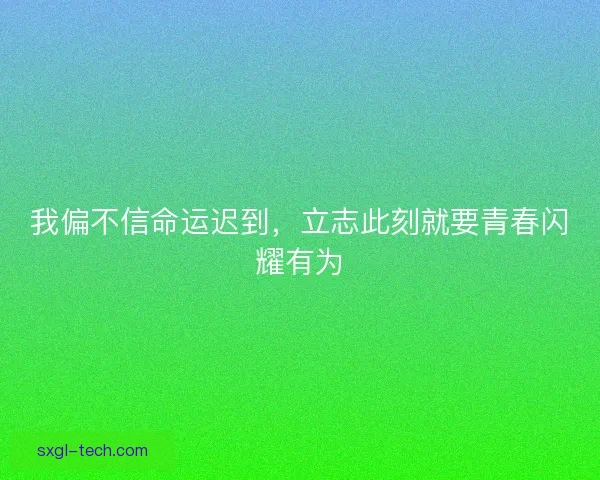 我偏不信命运迟到，立志此刻就要青春闪耀有为