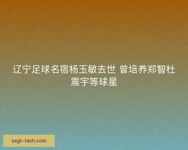辽宁足球名宿杨玉敏去世 曾培养郑智杜震宇等球星