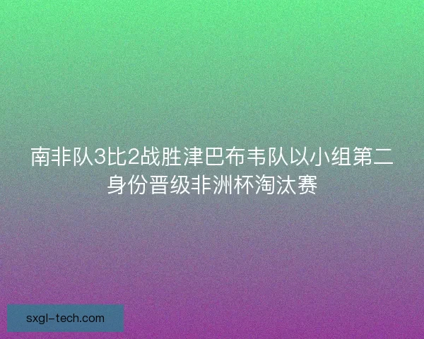 南非队3比2战胜津巴布韦队以小组第二身份晋级非洲杯淘汰赛 南非队3比2战胜津巴布韦队以小组第二身份晋级非洲杯淘汰赛
